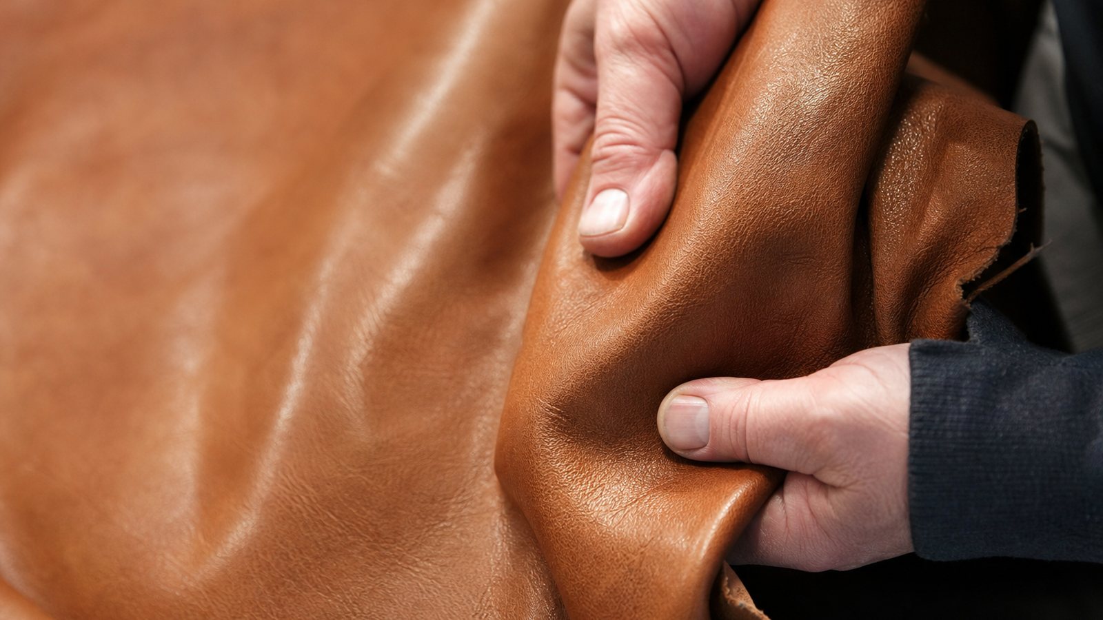 Gros plan sur le grain naturel et irrégulier d'un cuir pleine fleur tendu sur un canapé